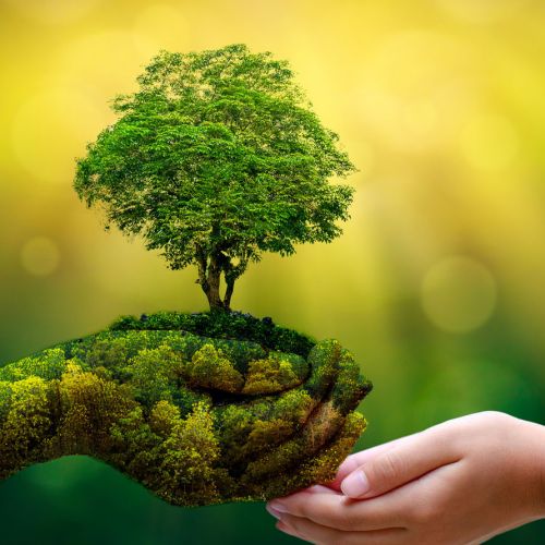 Rola recyklingu wewnętrznego w zrównoważonej produkcji folii LDPE i HDPE